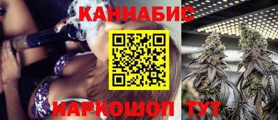 гашик Будённовск