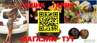 гашик Будённовск